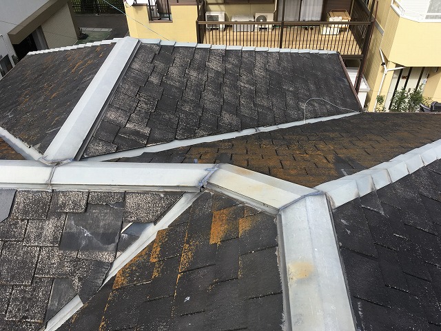 棟板金の状態確認